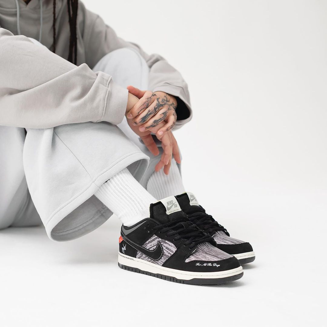 Nike SB Dunk Low Pro Drake For All The Dogs